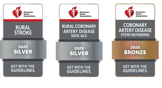 American Heart Association Awards 2025